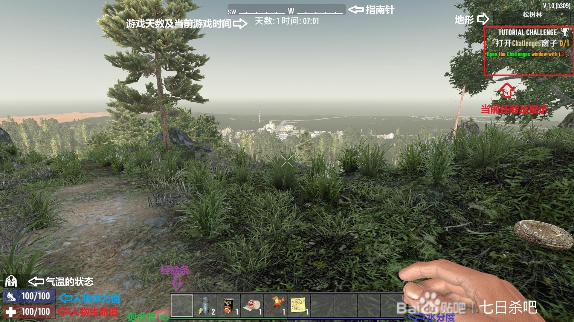 上古卷轴5：天际 重制版 截图9